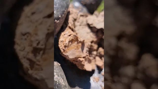 What's In The Ball Of Mud? Metal Detecting Wales смотреть онлайн