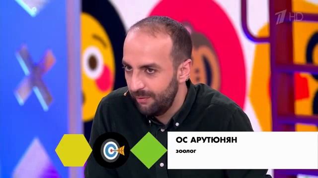 Глухая собака на первом канале | Стаффорд Рокки! смотреть онлайн