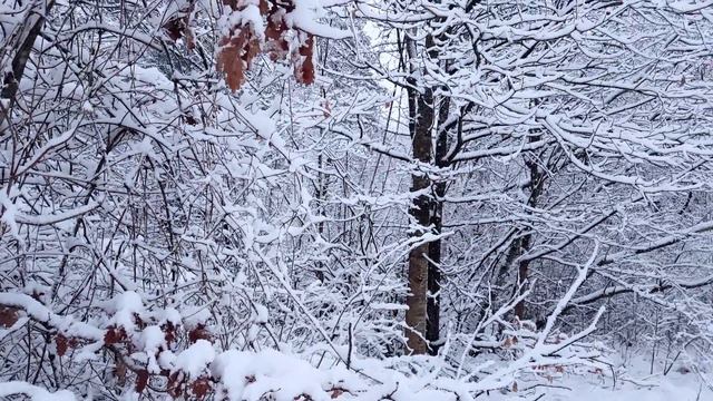 Beautiful Winter Scenes With Piano Music │ Emotional Piano Music │ Vladimir Sterzer