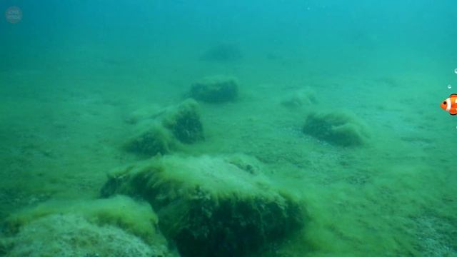 Mysterious underwater Stonehenge of Lake Michigan смотреть онлайн