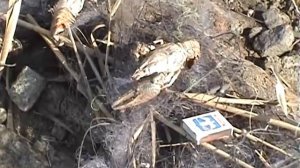 Старокрымское водохранилище...реалии.