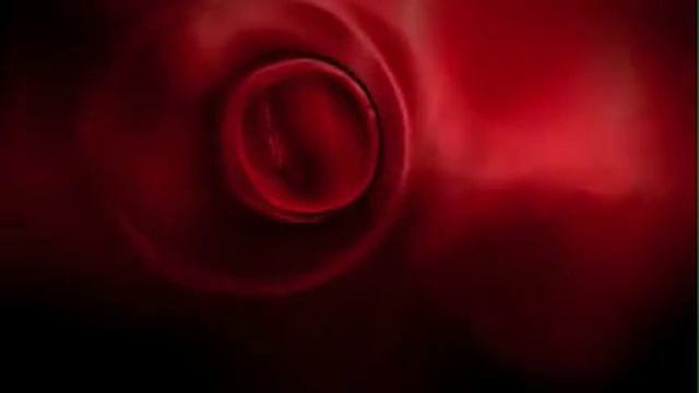 путь и работа эритроцитов.mp4 смотреть онлайн