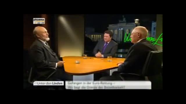 Wer bezahlt die Eurorechnung? Prof. Hans-Werner Sinn 16.01.2012 - die Bananenrepubik смотреть онлайн