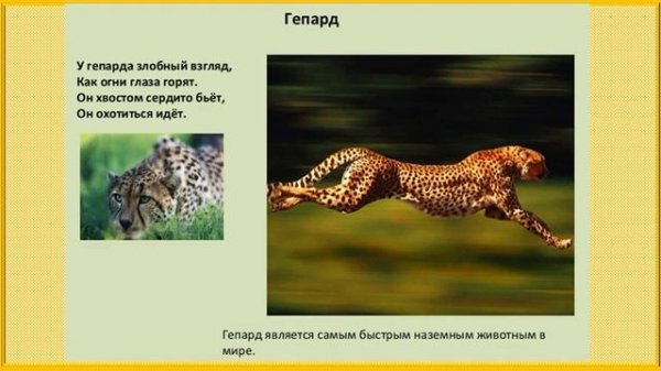 Где живут слоны? Окружающий мир 1 класс УМК Школа России 02.02.023