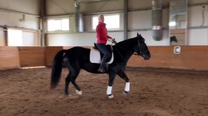 КАК ПЛОТНО СИДЕТЬ В СЕДЛЕ НА ЛОШАДИ