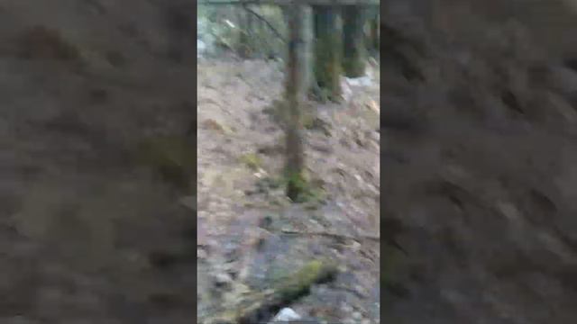 Рябок в лавушке смотреть онлайн