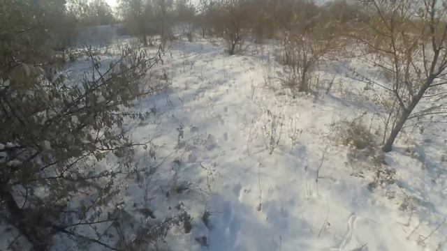 ОХОТА НА ФАЗАНА, ОДИНОЧНЫЙ ВЫЕЗД.1 декабря 2019г. смотреть онлайн