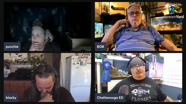 Saturday Night Fun and Art смотреть онлайн