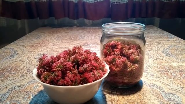 31. КЛЕВЕР - ферментация, вкус и свойства смотреть онлайн