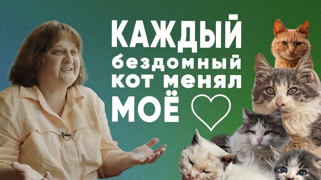 Идеальный мир — это Ноев ковчег | История Юли смотреть онлайн