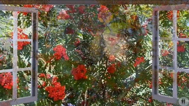 В саду горит костер рябины красной смотреть онлайн