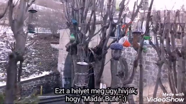 Hiking in Semmering, Austria смотреть онлайн