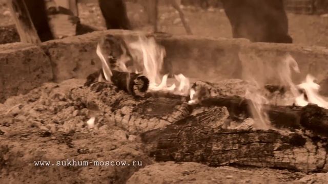 Ажьырныхәа. Древний абхазский новый год смотреть онлайн