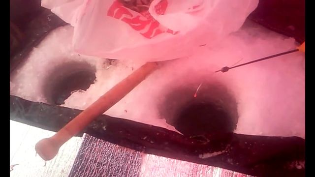 ЗИМНЯЯ РЫБАЛКА БАРНАУЛ январь 2016 смотреть онлайн