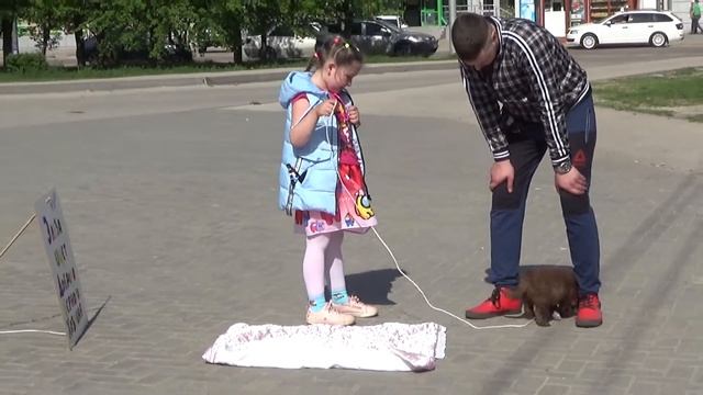 Ксю подарила Хаски смотреть онлайн