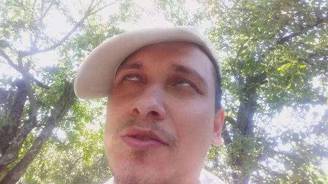 Помогает ли спастись от комаров детский крем и ванилин ? смотреть онлайн