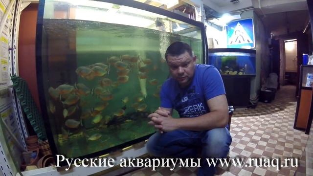 Механика или биология. Азотный цикл смотреть онлайн