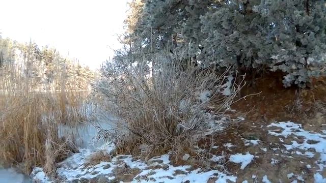 крещенские зарисовки река лес смотреть онлайн
