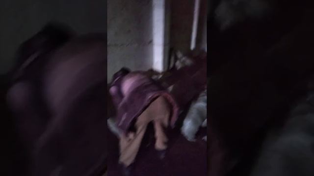 женщины на погрузке картошки склады Заря смотреть онлайн