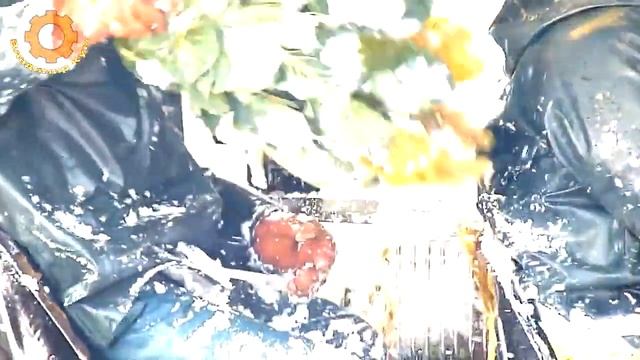 Как выращивают брюссельскую капусту смотреть онлайн