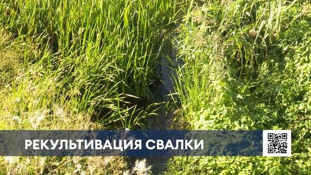 В Нижнекамске очищают территорию у реки Омшанка – там благоустроят два озера смотреть онлайн