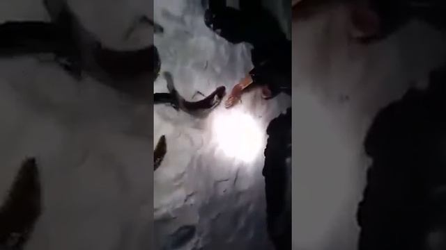 Рыбалка зимой - руками смотреть онлайн