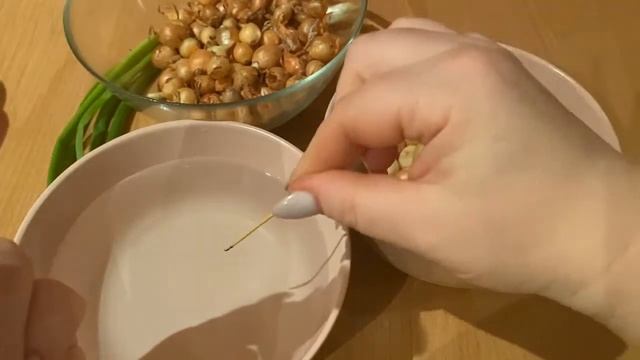 Выращиваем лук севок на зелень дома. смотреть онлайн