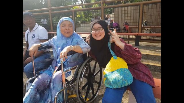 Jurong Bird Park Singapore смотреть онлайн