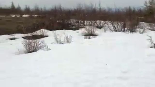 Квадроциклы в Комсомольске-на-Амуре 11.05.14 смотреть онлайн