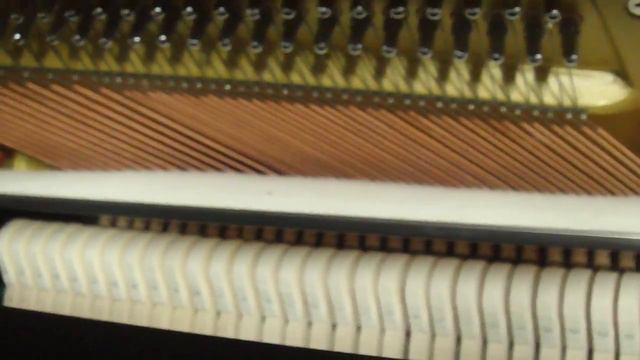 Euterpe 121 nieuw смотреть онлайн