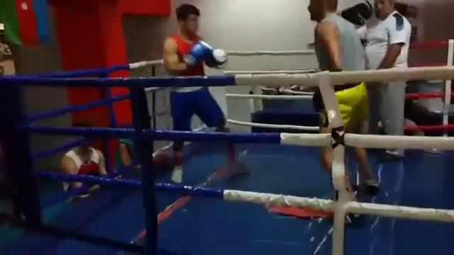 Эльдост мамедов леопард смотреть онлайн