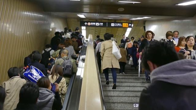 Вещи, Которые Вы Увидите Только в Японии смотреть онлайн