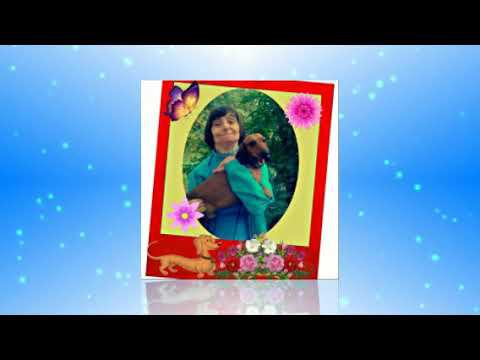 МОЙ ПОДАРОК ТЕБЕ ДОРОГАЯ ПОДРУГА смотреть онлайн