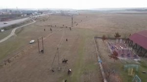 Конные прогулки, Кабардинская порода лошадей