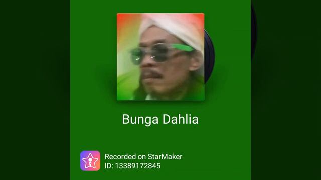 Bunga dahlia смотреть онлайн