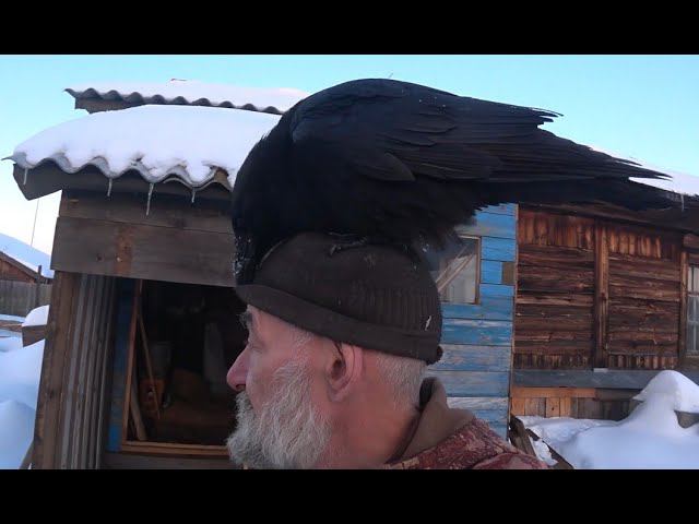 Ильмовая магия и конец зимы. смотреть онлайн