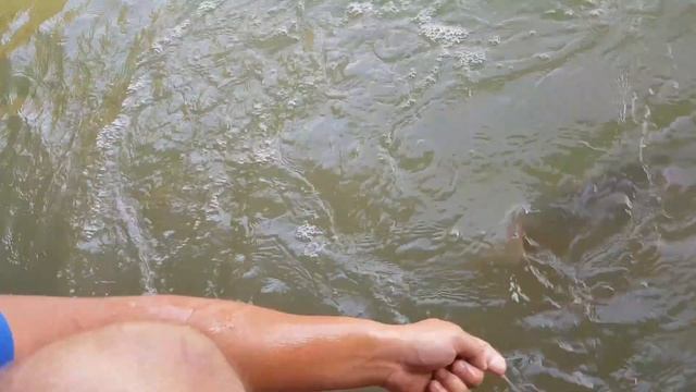 РЫБАЛКА БЕЗ УДОЧКИ?ПОМОГАЕМ ВЫТАЩИТЬ КАРПА? КОТОРЫЙ ВЗЯЛ НА ПРОСТЕЙШУЮ СНАСТЬ И НАЖИВКУ смотреть онлайн