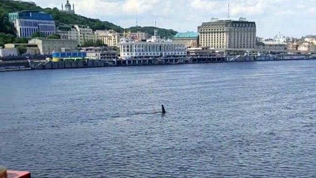 Пешеходный мост в Киеве / Панорамы Киева / Река Днепр в Киеве / 12 июня 2022 г смотреть онлайн