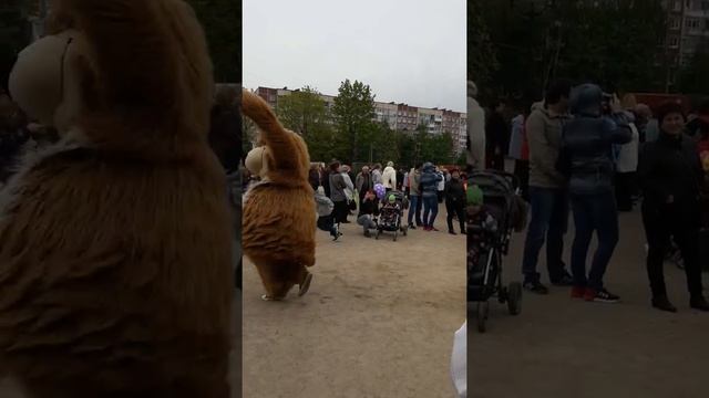 Супер танец Мишки ? смотреть онлайн
