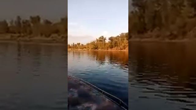 Катер Амур мерк 150 скорость 85 винт 14/23 обороты 5300. смотреть онлайн