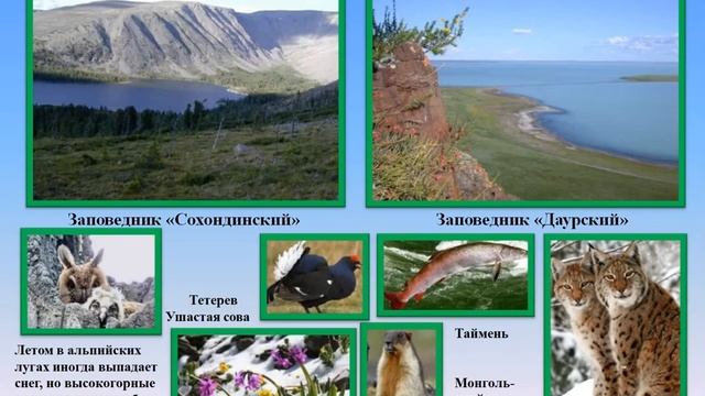 Заповедники России смотреть онлайн