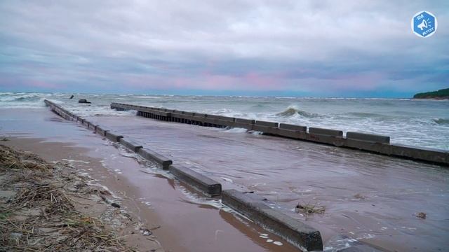 Финский залив разбушевался смотреть онлайн