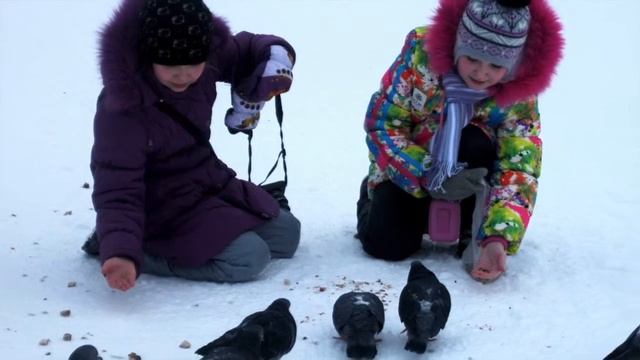 Покормите птиц зимой МОУ СОШ 3 г Надыма Баранова ЕМ смотреть онлайн