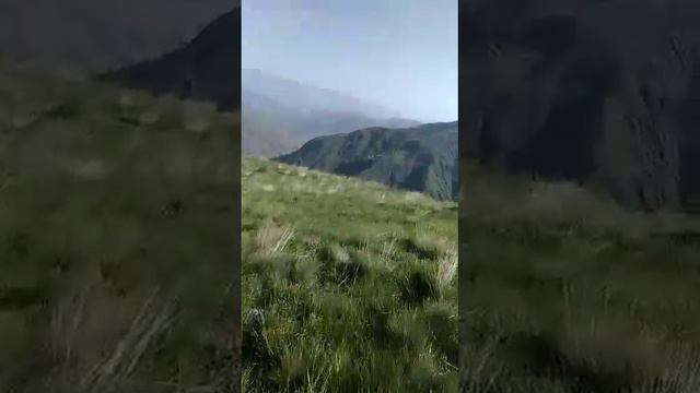 Ухул смотреть онлайн