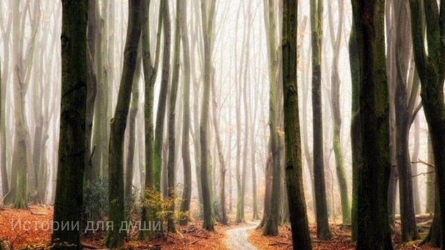 Он кричал почти двое суток, пока соседям ненадоел. Дважды его предали но он продолжал искать смотреть онлайн