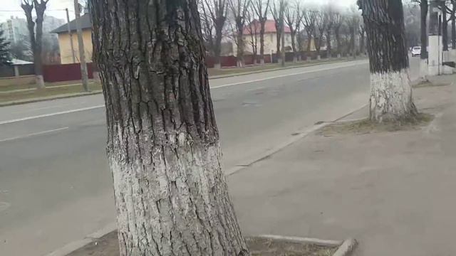 Киев без прикрас глазами обычного жителя города. Часть 1 смотреть онлайн