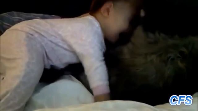 Приколы Кошки Приколы кошки смотреть онлайн