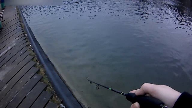 09 12 2019 Фишпарк. Форелька смотреть онлайн