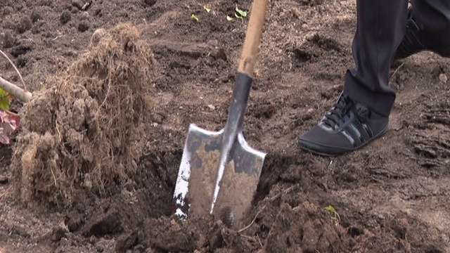 В сельском поселении Горетово идут работы по озеленению дворов смотреть онлайн