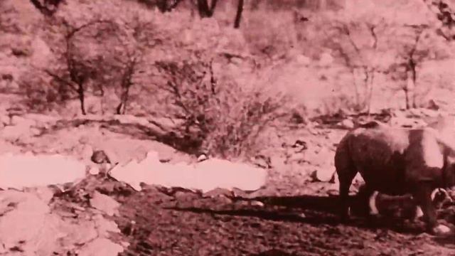 Ingagi With Sir Hubert Winstead 1930 - 1080p HD Film